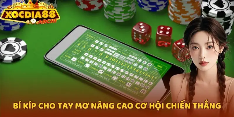 Bí kíp cho tay mơ nâng cao cơ hội chiến thắng