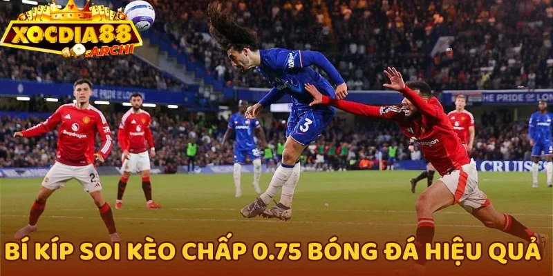 Bí kíp soi kèo chấp 0.75 bóng đá hiệu quả