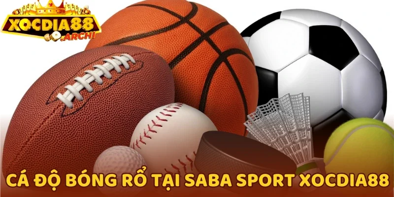 Cá độ bóng rổ tại Saba Sport Xocdia88