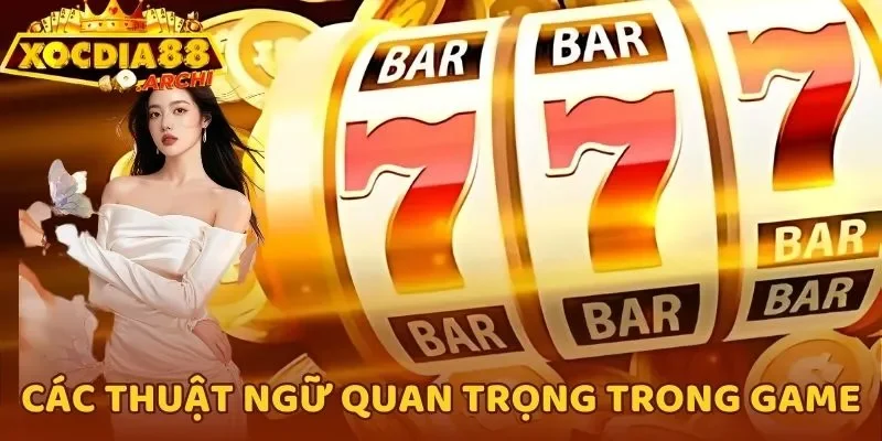 Các thuật ngữ quan trọng trong game