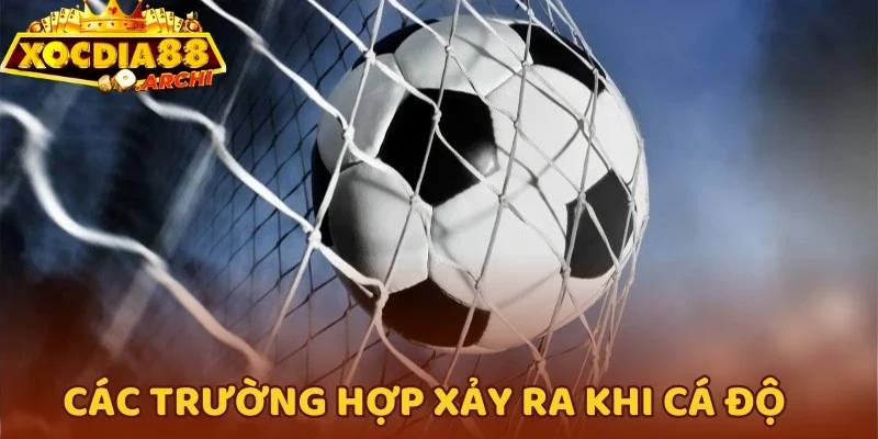 Các trường hợp xảy ra khi cá độ tỷ lệ châu Á