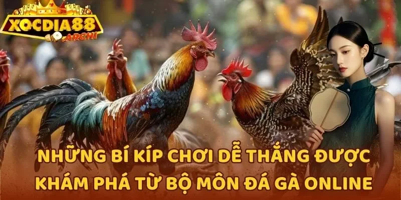 Những bí kíp chơi dễ thắng được khám phá từ bộ môn đá gà online