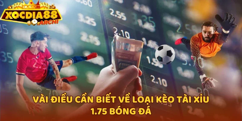 Vài điều cần biết về loại kèo tài xỉu 1.75 bóng đá